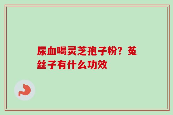 尿血喝灵芝孢子粉？菟丝子有什么功效