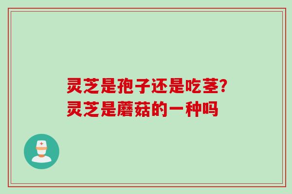 灵芝是孢子还是吃茎？灵芝是蘑菇的一种吗