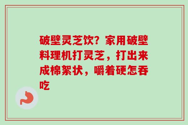 破壁灵芝饮？家用破壁料理机打灵芝，打出来成棉絮状，嚼着硬怎吞吃