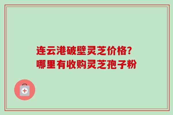 连云港破壁灵芝价格？哪里有收购灵芝孢子粉