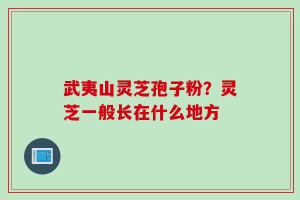 武夷山灵芝孢子粉？灵芝一般长在什么地方