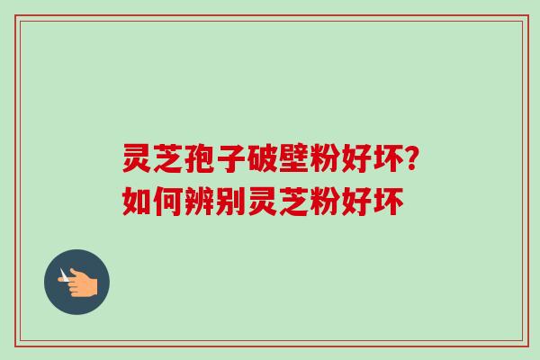 灵芝孢子破壁粉好坏？如何辨别灵芝粉好坏