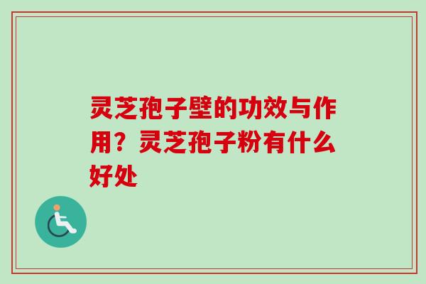 灵芝孢子壁的功效与作用？灵芝孢子粉有什么好处