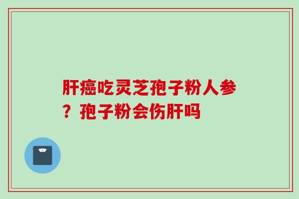 肝癌吃灵芝孢子粉人参？孢子粉会伤肝吗