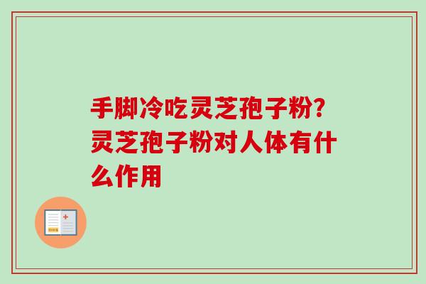 手脚冷吃灵芝孢子粉？灵芝孢子粉对人体有什么作用