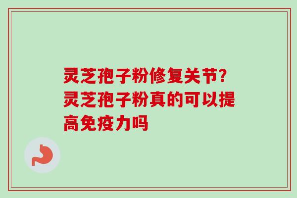 灵芝孢子粉修复关节？灵芝孢子粉真的可以提高免疫力吗