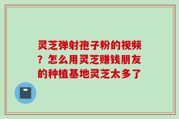 灵芝弹射孢子粉的视频？怎么用灵芝赚钱朋友的种植基地灵芝太多了