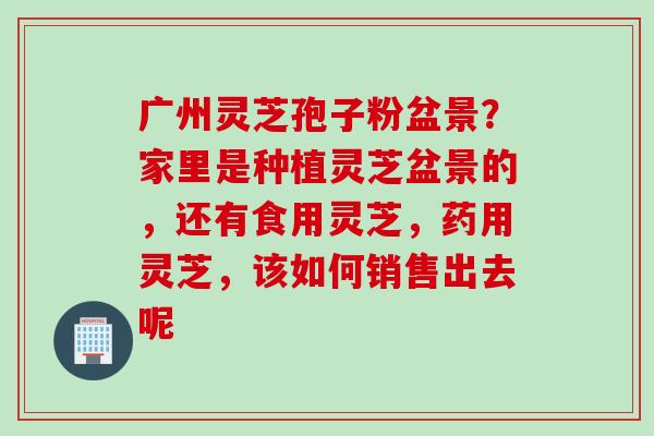 广州灵芝孢子粉盆景？家里是种植灵芝盆景的，还有食用灵芝，药用灵芝，该如何销售出去呢