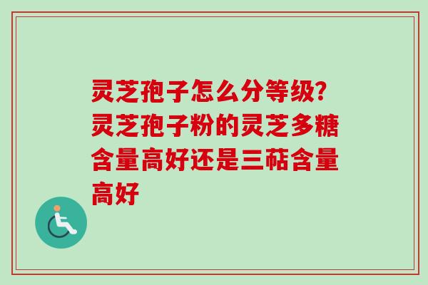 灵芝孢子怎么分等级？灵芝孢子粉的灵芝多糖含量高好还是三萜含量高好