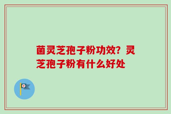 菌灵芝孢子粉功效？灵芝孢子粉有什么好处
