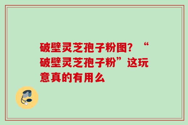 破壁灵芝孢子粉图？“破壁灵芝孢子粉”这玩意真的有用么