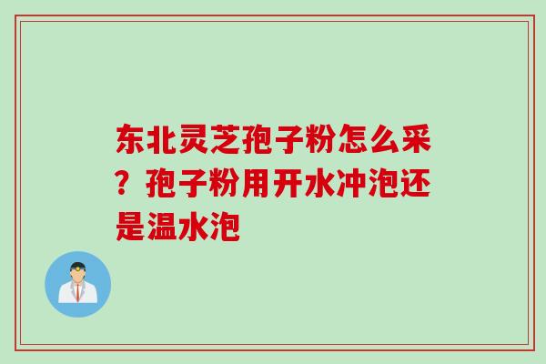 东北灵芝孢子粉怎么采？孢子粉用开水冲泡还是温水泡