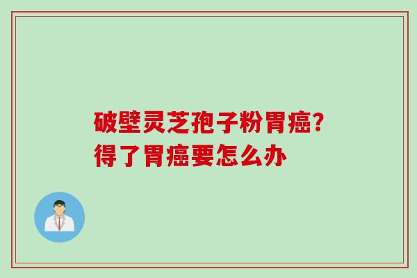 破壁灵芝孢子粉胃？得了胃要怎么办