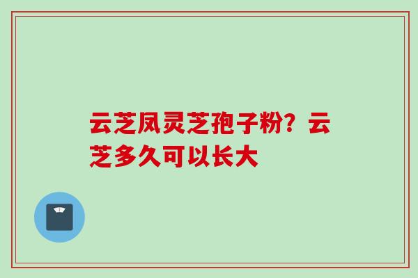 云芝凤灵芝孢子粉？云芝多久可以长大