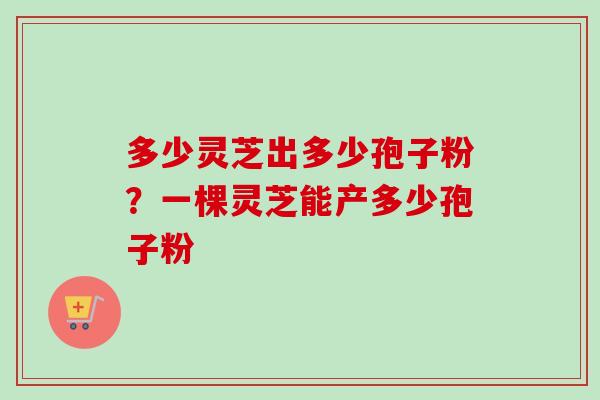 多少灵芝出多少孢子粉？一棵灵芝能产多少孢子粉