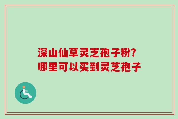深山仙草灵芝孢子粉？哪里可以买到灵芝孢子