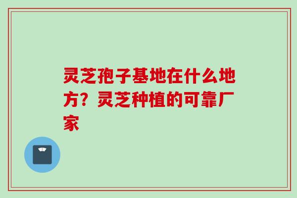 灵芝孢子基地在什么地方？灵芝种植的可靠厂家