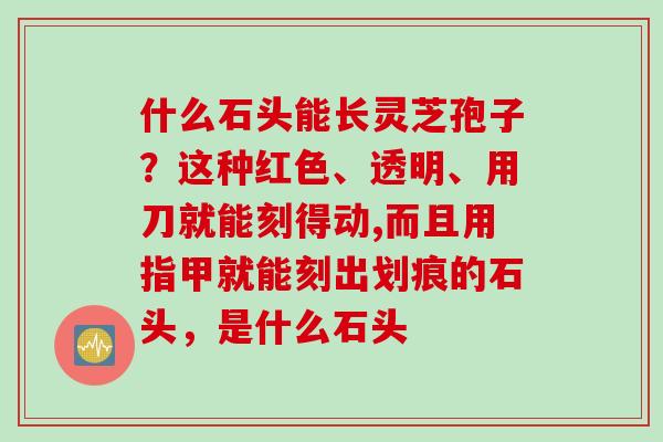 什么石头能长灵芝孢子？这种红色、透明、用刀就能刻得动,而且用指甲就能刻出划痕的石头，是什么石头