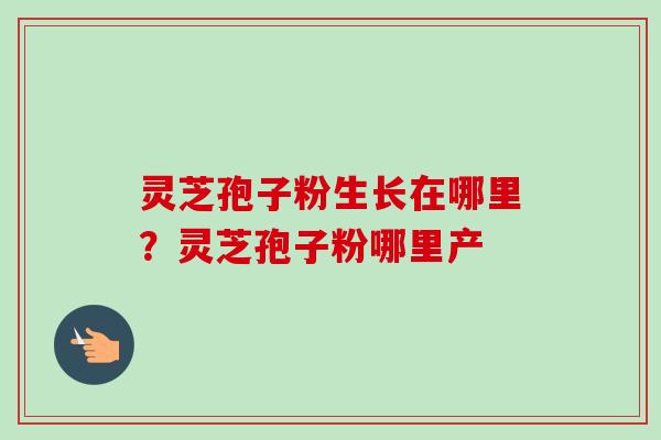 灵芝孢子粉生长在哪里？灵芝孢子粉哪里产