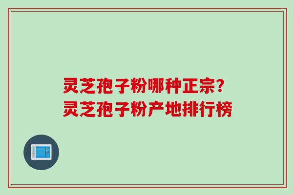 灵芝孢子粉哪种正宗？灵芝孢子粉产地排行榜