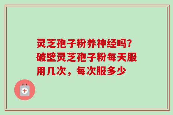 灵芝孢子粉养神经吗？破壁灵芝孢子粉每天服用几次，每次服多少