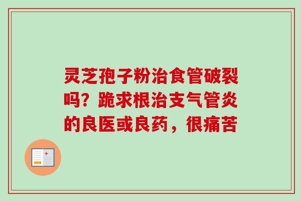 灵芝孢子粉治食管破裂吗？跪求根治支气管炎的良医或良药，很痛苦
