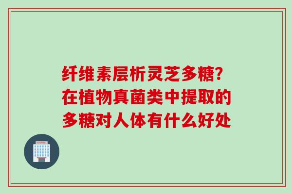 纤维素层析灵芝多糖？在植物真菌类中提取的多糖对人体有什么好处