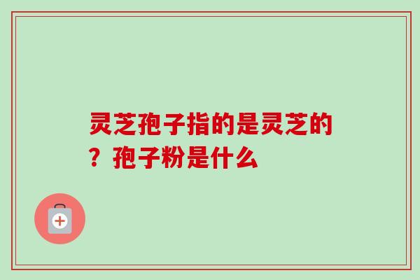 灵芝孢子指的是灵芝的?孢子粉是什么 灵芝孢子指的是灵芝的?孢子粉是什么