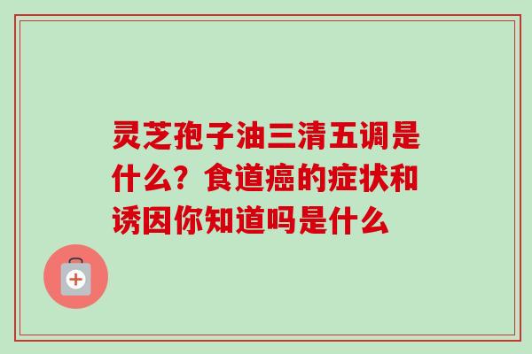 灵芝孢子油三清五调是什么？食道的症状和诱因你知道吗是什么