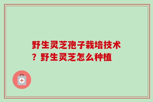 野生灵芝孢子栽培技术？野生灵芝怎么种植