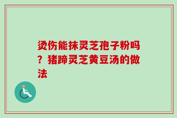 烫伤能抹灵芝孢子粉吗？猪蹄灵芝黄豆汤的做法