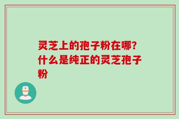 灵芝上的孢子粉在哪？什么是纯正的灵芝孢子粉
