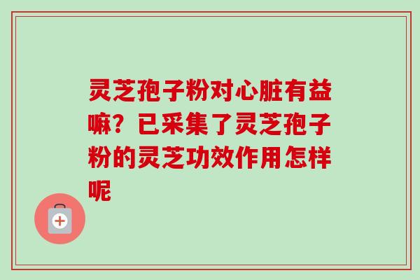 灵芝孢子粉对心脏有益嘛？已采集了灵芝孢子粉的灵芝功效作用怎样呢