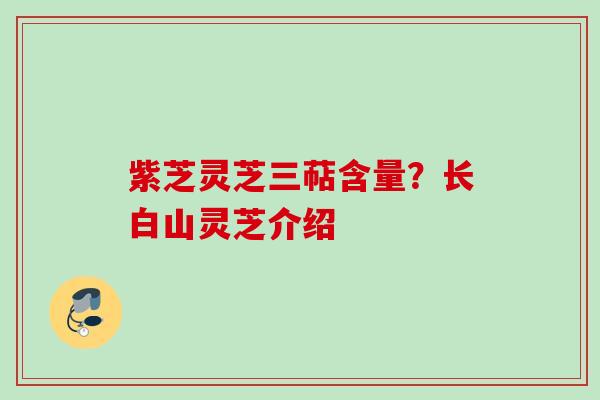 紫芝灵芝三萜含量？长白山灵芝介绍