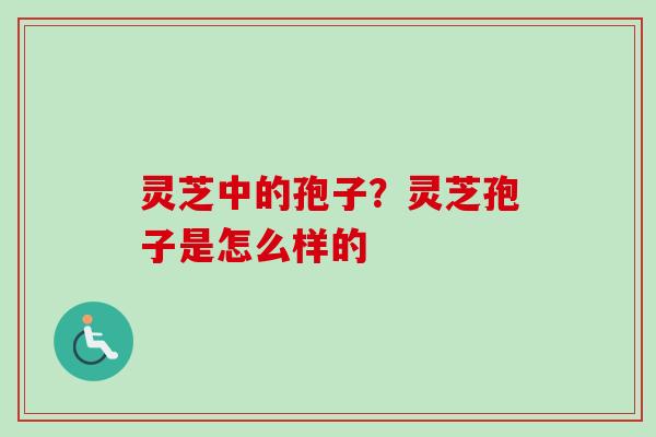 灵芝中的孢子？灵芝孢子是怎么样的