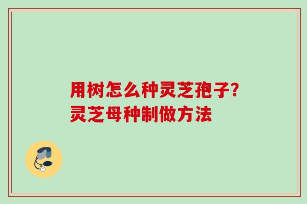 用树怎么种灵芝孢子？灵芝母种制做方法