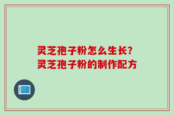 灵芝孢子粉怎么生长？灵芝孢子粉的制作配方