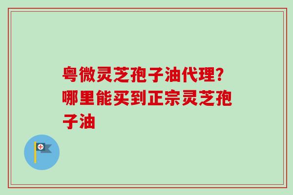 粤微灵芝孢子油代理？哪里能买到正宗灵芝孢子油