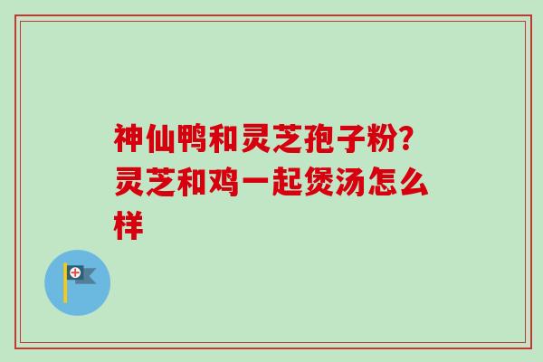 神仙鸭和灵芝孢子粉？灵芝和鸡一起煲汤怎么样