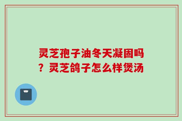 灵芝孢子油冬天凝固吗？灵芝鸽子怎么样煲汤