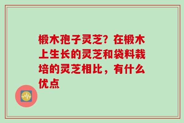 椴木孢子灵芝？在椴木上生长的灵芝和袋料栽培的灵芝相比，有什么优点