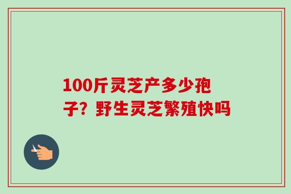100斤灵芝产多少孢子？野生灵芝繁殖快吗