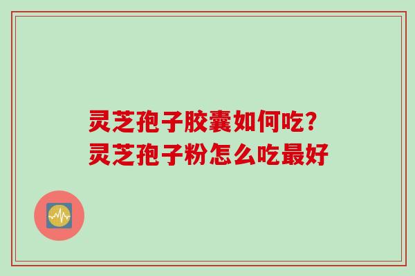 灵芝孢子胶囊如何吃？灵芝孢子粉怎么吃最好