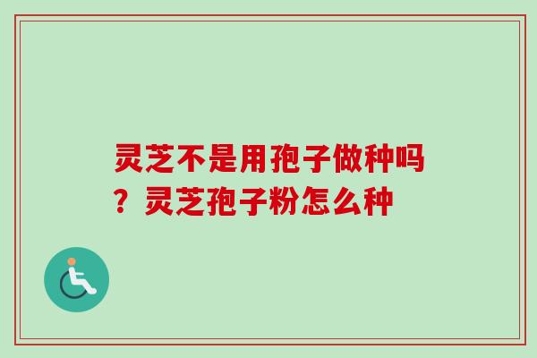 灵芝不是用孢子做种吗？灵芝孢子粉怎么种