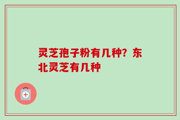 灵芝孢子粉有几种？东北灵芝有几种
