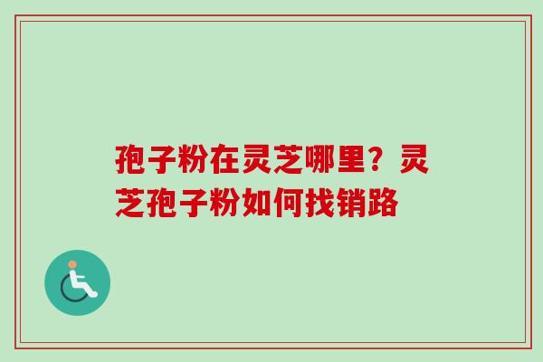 孢子粉在灵芝哪里？灵芝孢子粉如何找销路