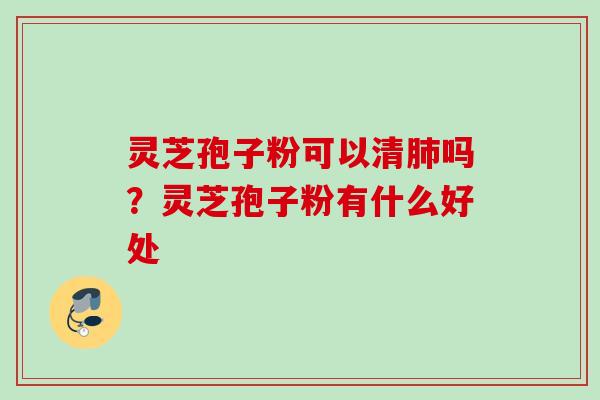 灵芝孢子粉可以清肺吗？灵芝孢子粉有什么好处