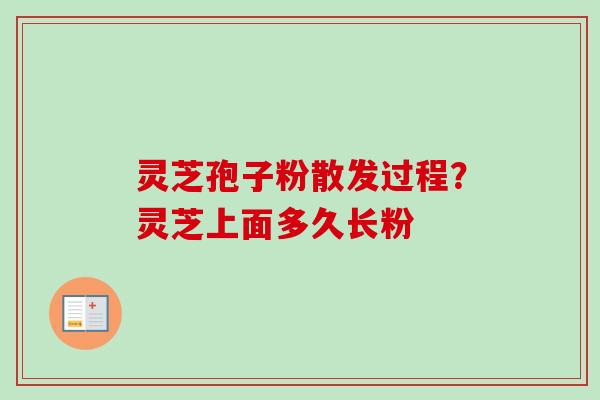 灵芝孢子粉散发过程？灵芝上面多久长粉