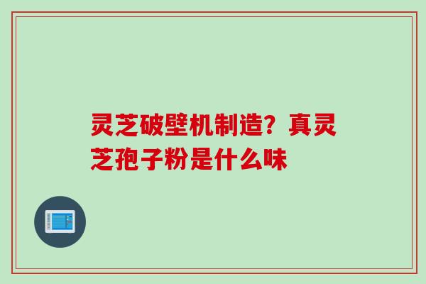 灵芝破壁机制造？真灵芝孢子粉是什么味