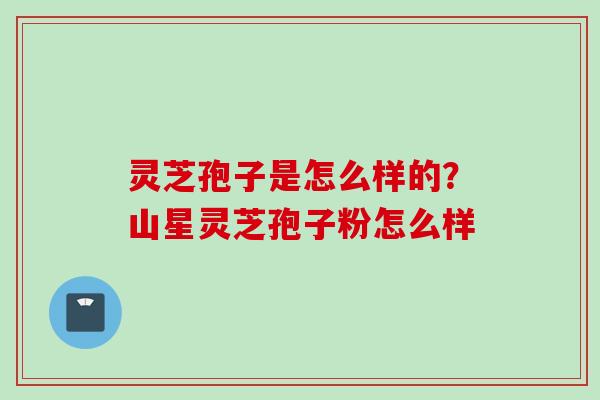 灵芝孢子是怎么样的?山星灵芝孢子粉怎么样 灵芝孢子是怎么样的?山星灵芝孢子粉怎么样